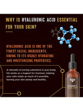 Load image into Gallery viewer, Green Tea Face Wash &amp; Vitamin C Serum Combo